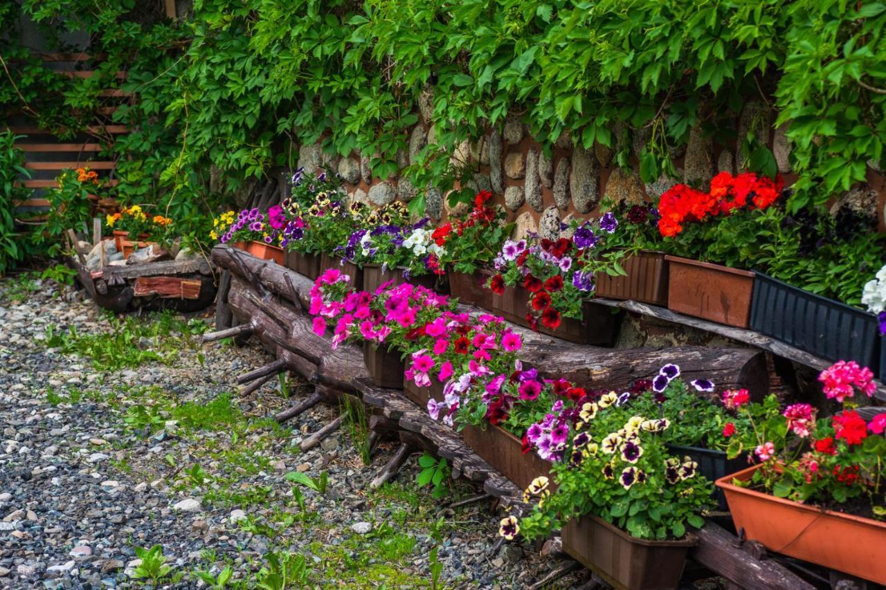 Z Widokiem Na Gory I Prywatny Z Zadaszona Altana - Grillem I Ogniskiem.
